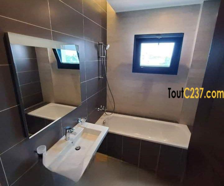 Appartement présidentiel à louer à Bonamoussadi Douala