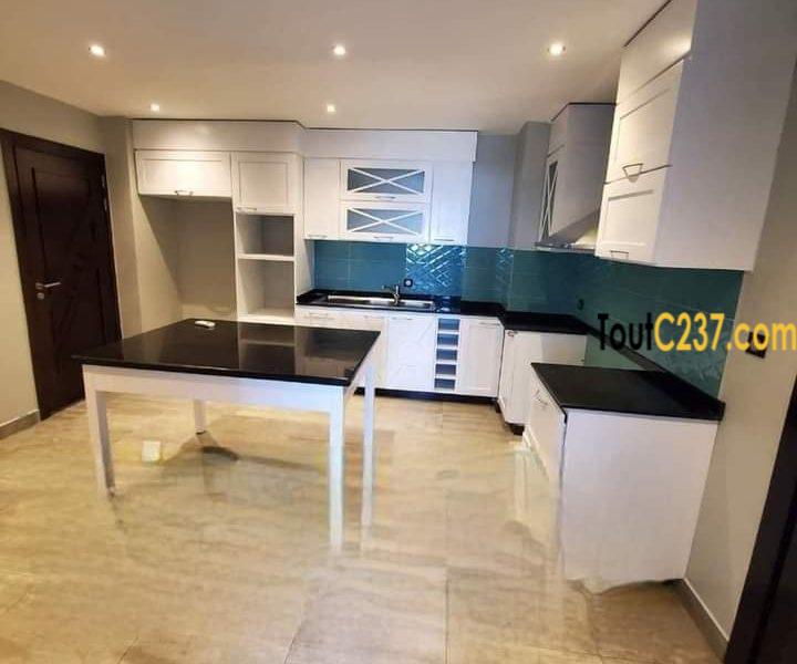 Appartement présidentiel à louer à Bonamoussadi Douala