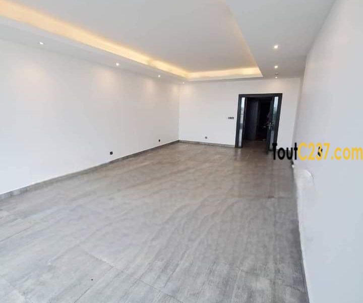 Appartement présidentiel à louer à Bonamoussadi Douala