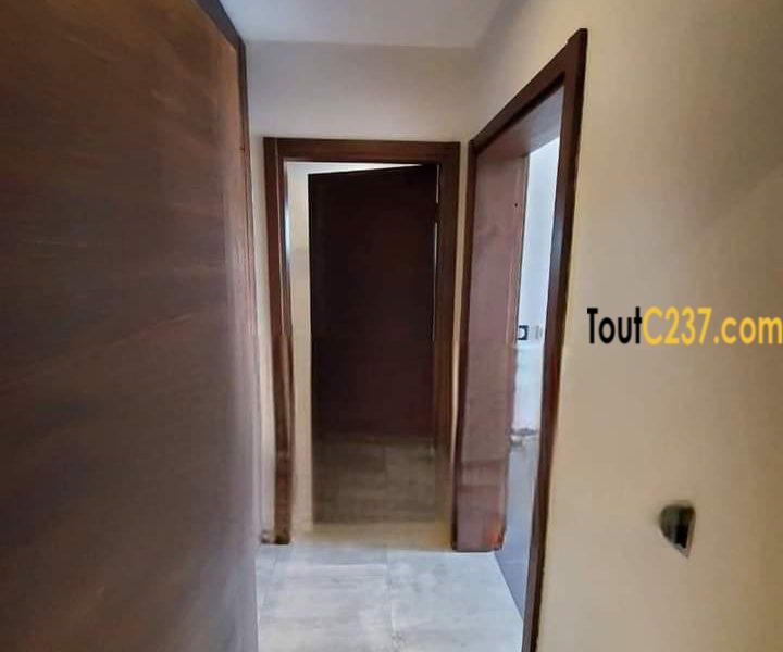 Appartement présidentiel à louer à Bonamoussadi Douala