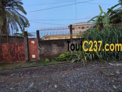 Terrain à vendre à Logpom Douala