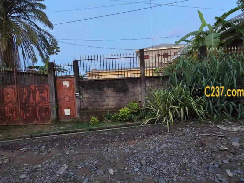 Terrain à vendre à Logpom Douala