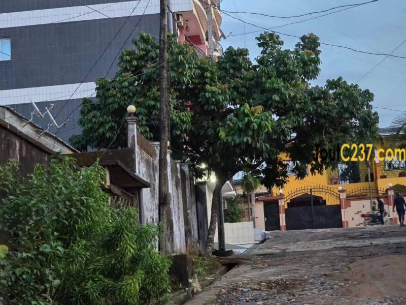 Terrain à vendre à Logpom Douala