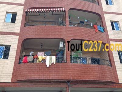 Immeuble à vendre vers 2 églises Ngodi