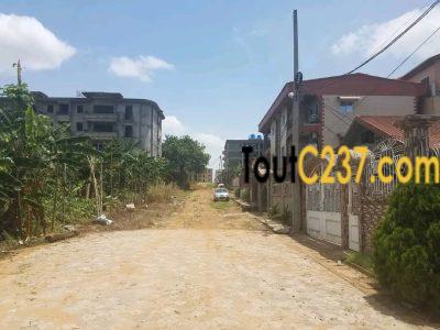 Terrain à vendre à Logpom (Bassong)