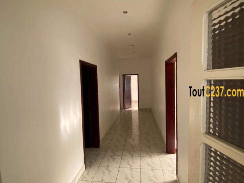 Maison en villa à louer à Bonapriso Douala