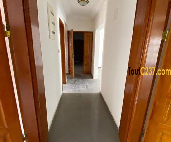 Très joli appartement à louer à Bonapriso, Douala