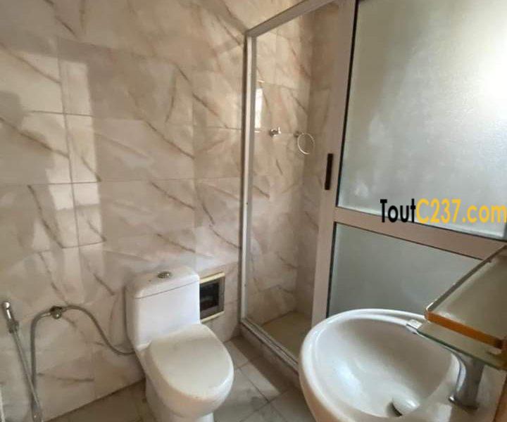 Très joli appartement à louer à Bonapriso, Douala
