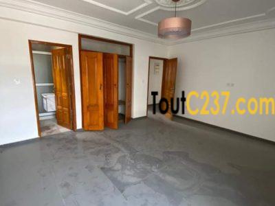Très joli appartement à louer à Bonapriso, Douala