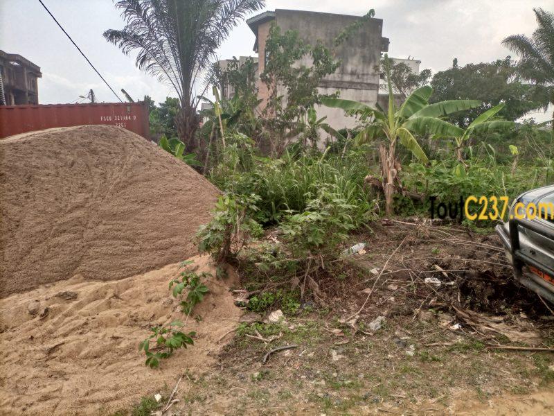 Terrain d'angle à vendre à Logbessou (Temoin de jehovah)
