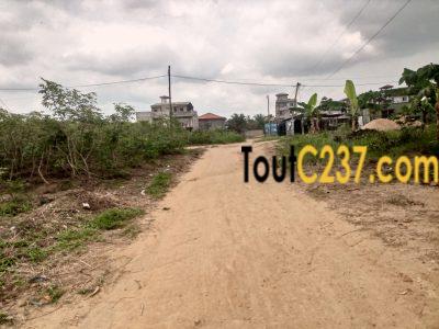 Terrain d'angle à vendre à Logbessou (Temoin de jehovah)