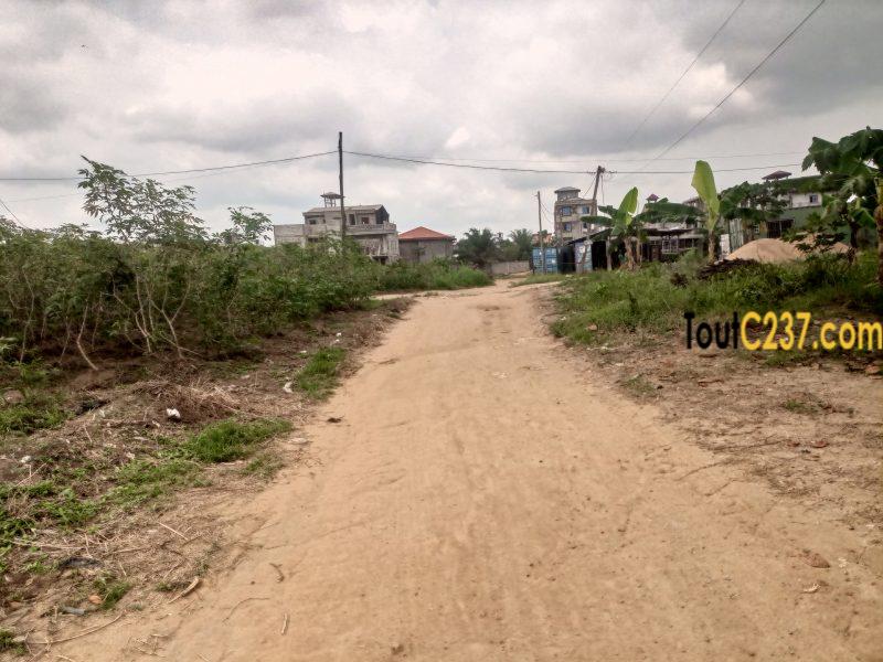 Terrain d'angle à vendre à Logbessou (Temoin de jehovah)