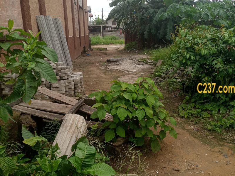 Terrain commercial à vendre à Makepe