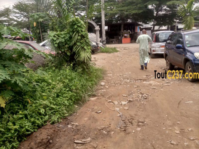 Terrain commercial à vendre à Makepe