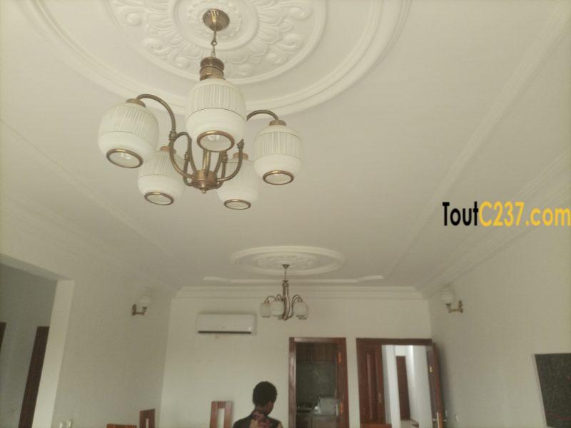 Appartement haut standing à louer à Bonamoussadi