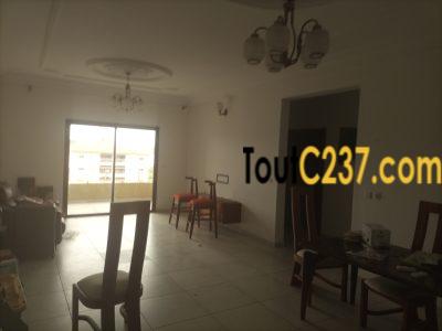 Appartement haut standing à louer à Bonamoussadi