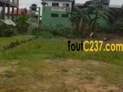 Terrain à vendre à Logbessou (Temoin de Jehovah)