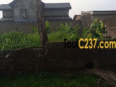 Terrain a vendre à Logpom 2e Avenue