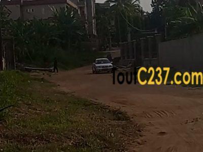 Terrain à vendre à Logpom (Njoya)