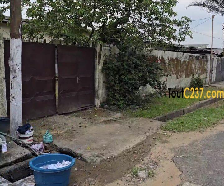 Villa à vendre à Cité des palmiers à Douala