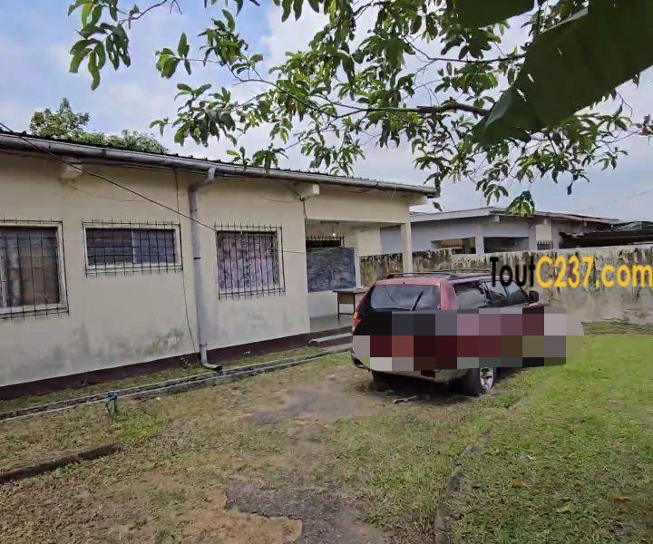Villa à vendre à Cité des palmiers à Douala