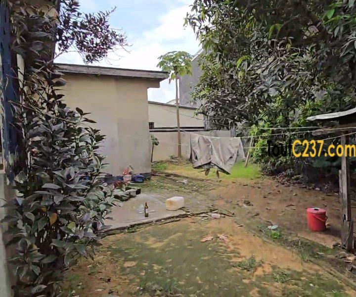 Villa à vendre à Cité des palmiers à Douala