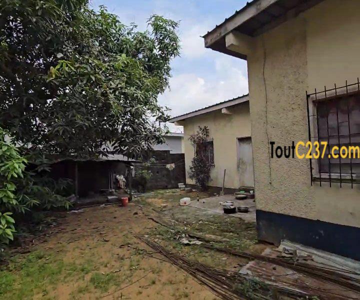 Villa à vendre à Cité des palmiers à Douala
