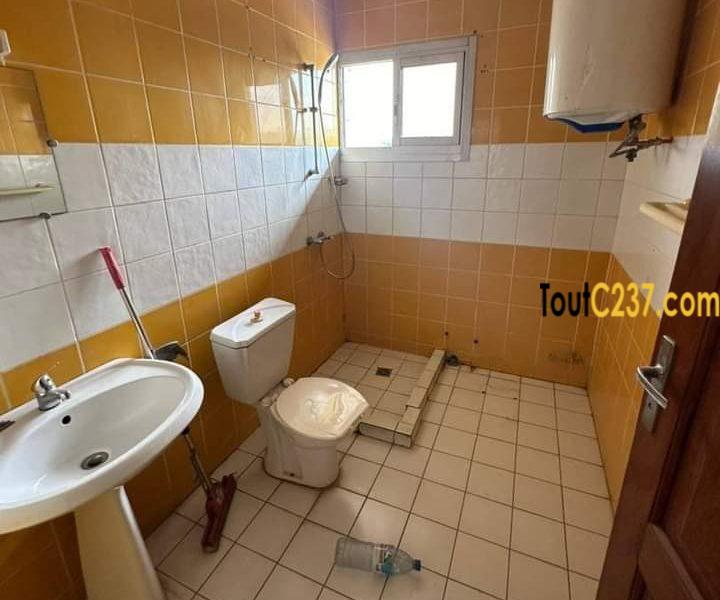 Appartement en duplex à louer à Bonapriso
