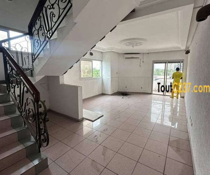 Appartement en duplex à louer à Bonapriso