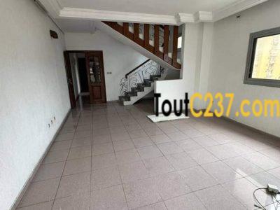 Appartement en duplex à louer à Bonapriso