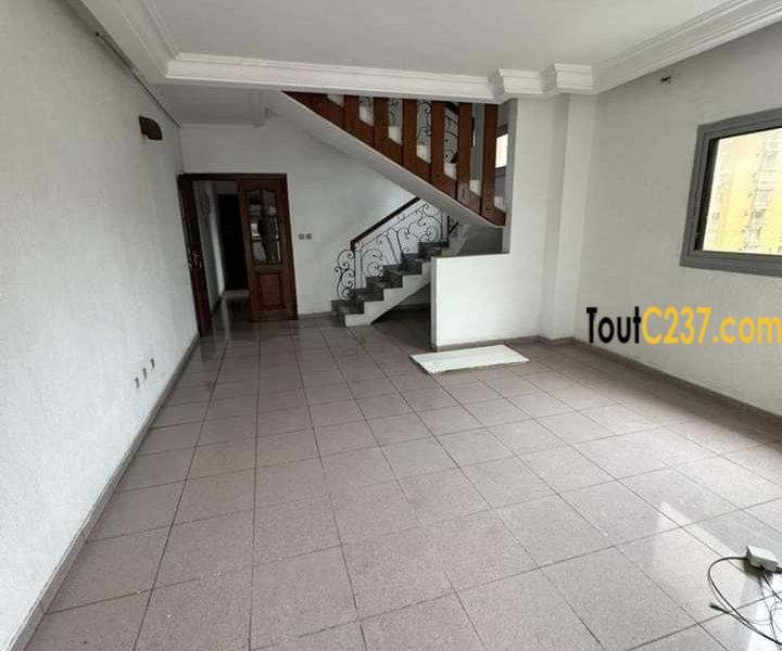 Appartement en duplex à louer à Bonapriso