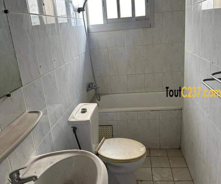 Appartement en duplex à louer à Bonapriso