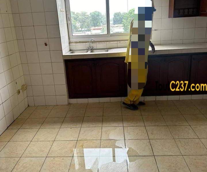 Appartement en duplex à louer à Bonapriso