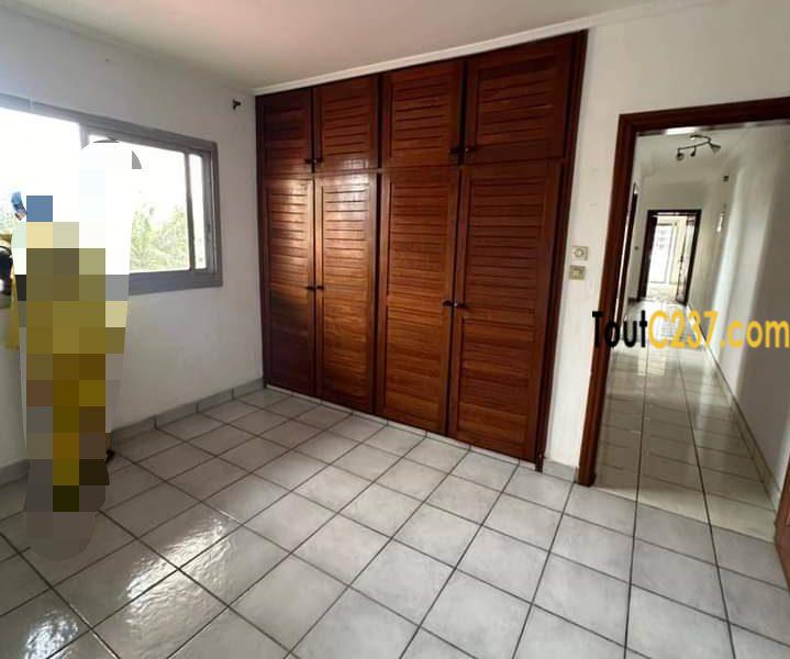 Appartement en duplex à louer à Bonapriso