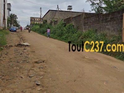 Terrain à vendre à Logpom (Papyrus)