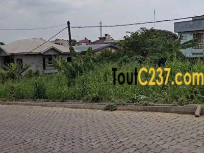 Terrain commercial à vendre à Logpom (Hopital des soeurs)