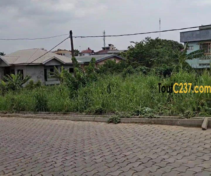 Terrain commercial à vendre à Logpom (Hopital des soeurs)