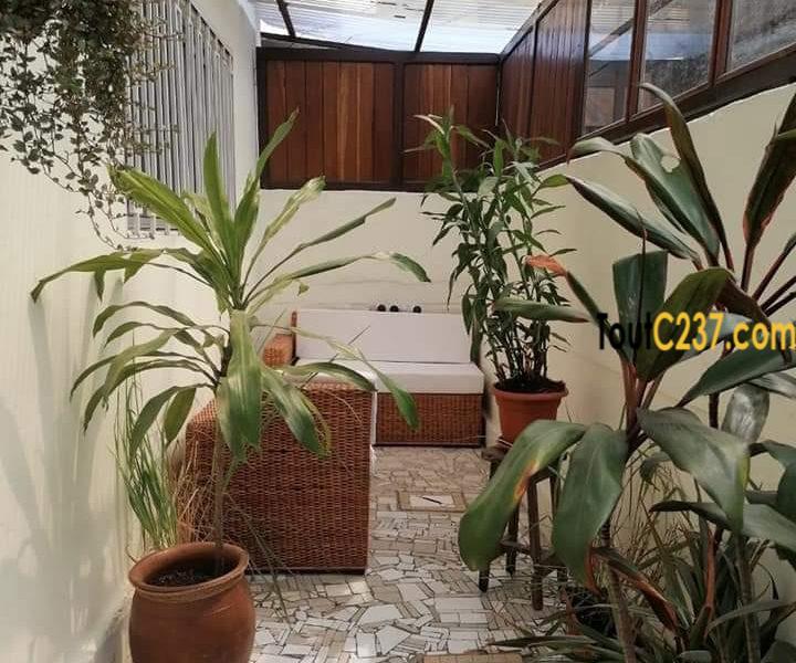 Appartement meublé à louer à Bonapriso