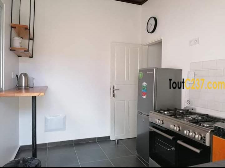 Appartement meublé à louer à Bonapriso