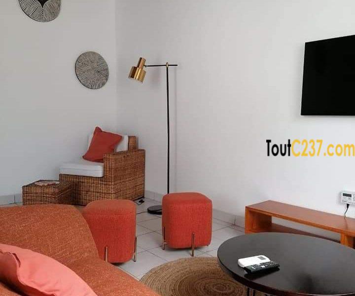 Appartement meublé à louer à Bonapriso