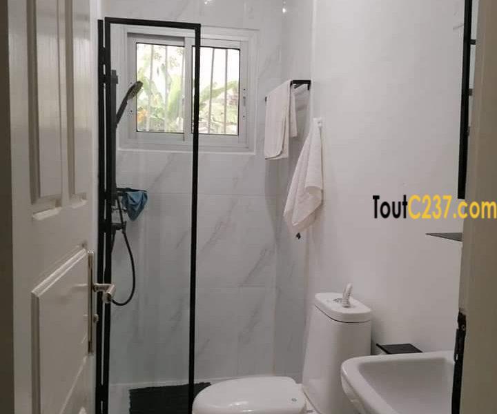 Appartement meublé à louer à Bonapriso