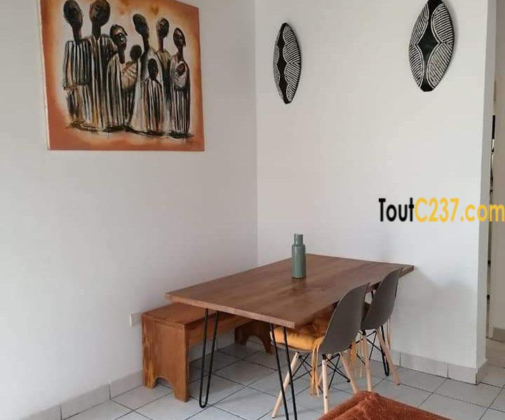 Appartement meublé à louer à Bonapriso