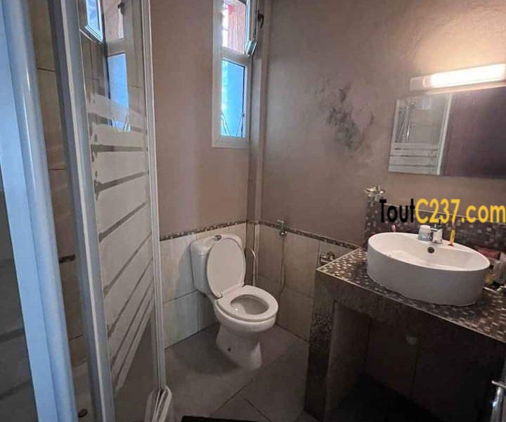 Appartement à louer à Bonapriso Douala