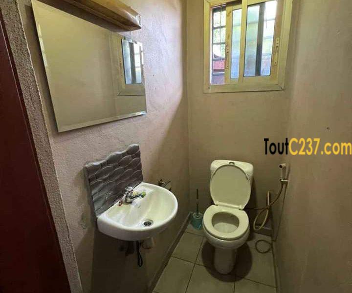 Appartement à louer à Bonapriso Douala