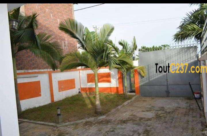 Duplex à vendre à Yassa, Douala