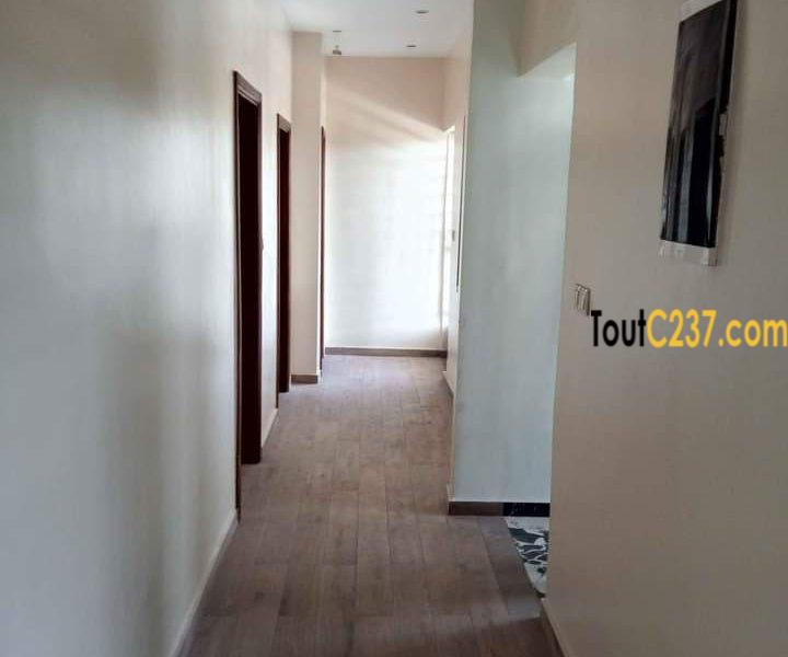 Duplex à louer à Bonapriso Douala