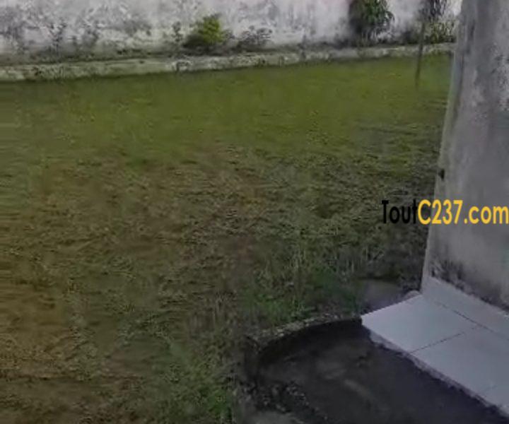 Maison sic d'angle à vendre à Bonamoussadi