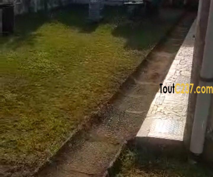 Maison sic d'angle à vendre à Bonamoussadi