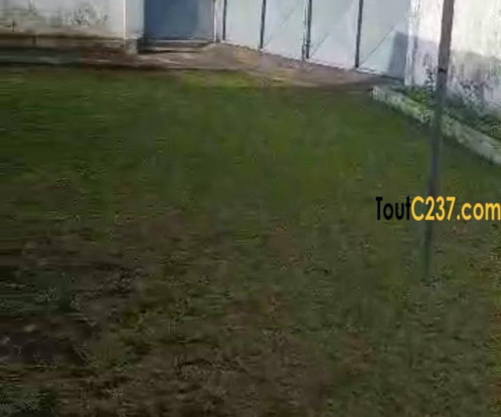 Maison sic d'angle à vendre à Bonamoussadi