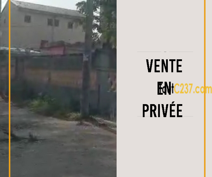 Terrain commercial à vendre à Bonamoussadi , Douala